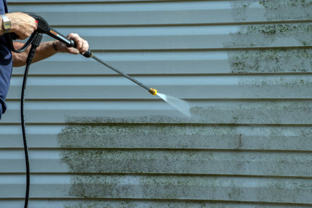 Best Graffiti Removal  in Bayou Vista, TX